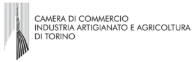 logo_camera_commercio_torino