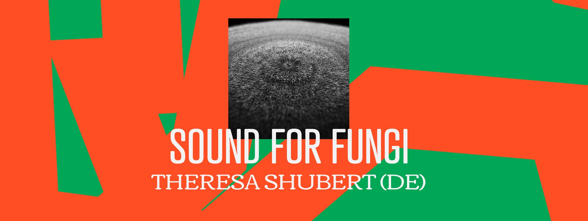 Theresa Shubert | Sound For Fungi - Homage to Indeterminacy (DE)